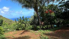 flamboyant House - Foto 4