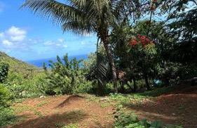 flamboyant House - Foto 4