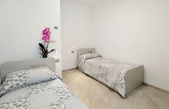 Ciclamino (GLA127) - Foto 17