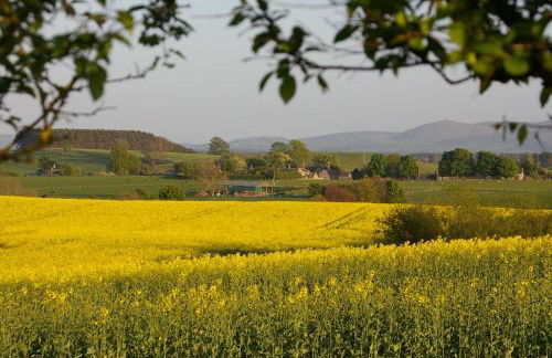 The Cottage - Foto 25