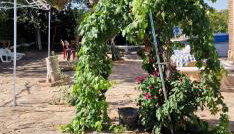 Villa Josefina - Foto 3, Garden view