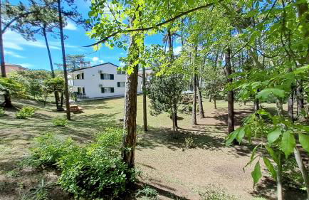 Villa Barbara Fra i Pini - Foto 16