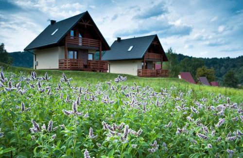 BIESZCZADZKI RAJ z prywatną działką przy linii brzegowej Jeziora Solińskiego Sauna Basen sezonowy - Foto 31