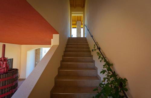 Agriturismo con Cucina tipica Nuova Scardua - Foto 36