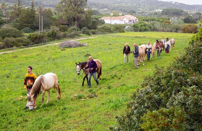 Santuario de Caballos: Un paseo por la naturaleza con Caballos Rescatados a tu lado - Foto 17