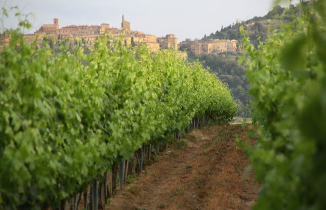 Tenuta Lamborghini Golf & Resort - Foto 59