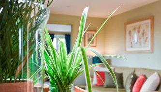 Treetops at Cherry Tree Cottage - Foto 5