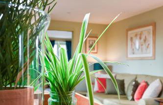 Treetops at Cherry Tree Cottage - Foto 5