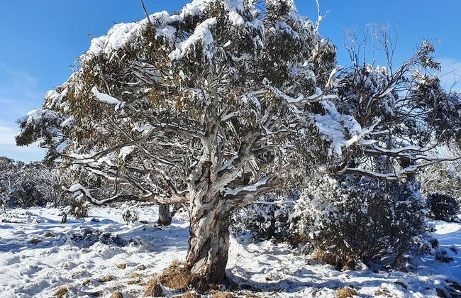 SNOWED INN apartment - Photo 20