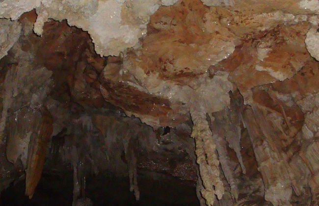 Visita guiada pelas grutas de São Miguel - Foto 1