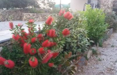 Maira Arch House - Foto 28