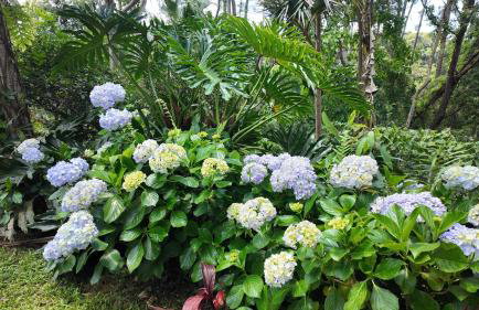 Casa de Campo & Home Office - Itapecerica da Serra , perto do Embu das Artes - Photo 63