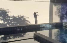 Recanto Portinho - Foto 35