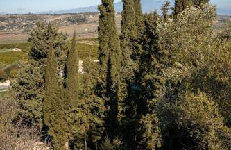 Agriturismo Pietre di Gelo - Foto 16