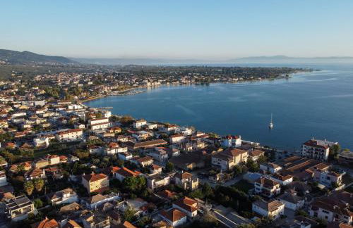 The backyard- Κατοικία στην Αγριά, Βόλου - Foto 37