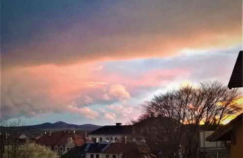 Ferienwohnung Anno1898 Zittau - Foto 49