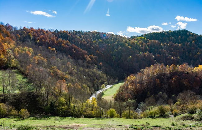 La Costa de Mollo - Foto 50