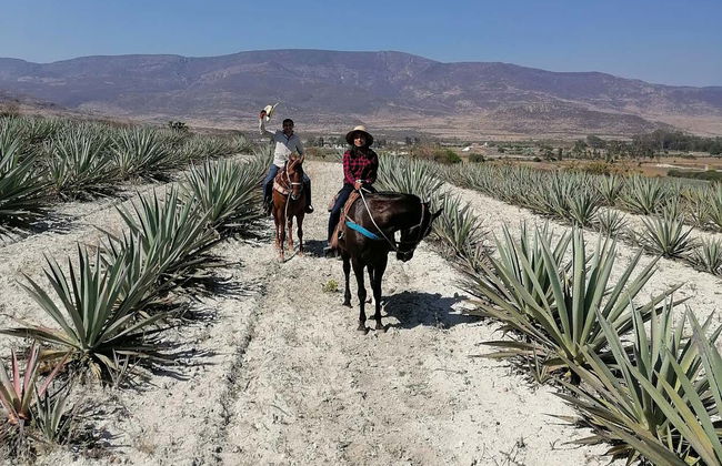 Passeggiata a cavallo a Oaxaca - Foto 5