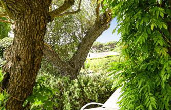 Auberge de l'Oumède - Foto 15