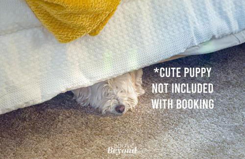 The Updated Aviator - Minutes to Everything Wichita Falls, TX - Foto 19