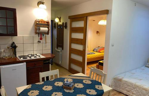 Domek przy lesie Mazury - noclegi całoroczne - Foto 9