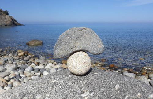 Il Rosmarino - Foto 31