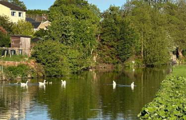 Canalside walks Riddlesden Local to Skipton Ilkley Haworth & Keighley Worth Valley Railway - Foto 34