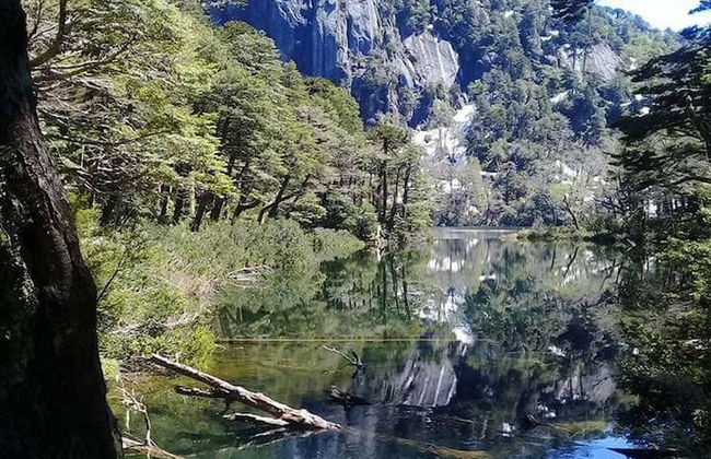 Cabana En La Pradera Lindo Paisaje En Pucon - Foto 24