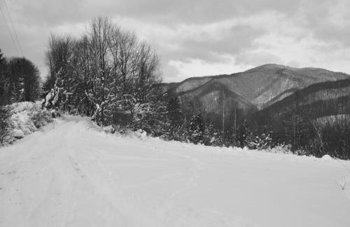 Krolowo Apartment - Photo 31