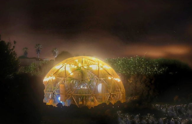 Finca La Florida - Foto 37