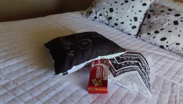 Celia Martins Dias oliveira - Foto 3