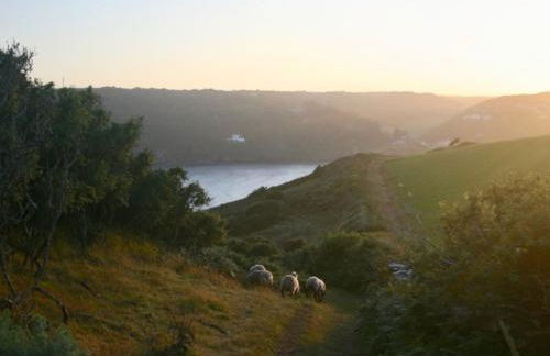 Apple Barn - Foto 26