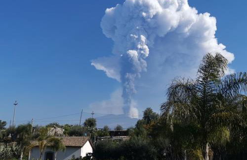 La Fattoria Dei Nonni - Foto 36