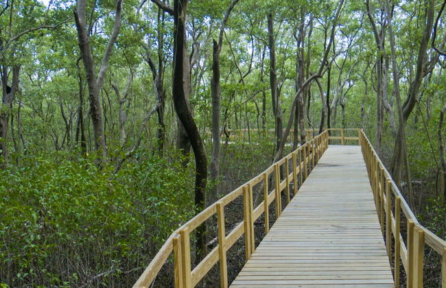 Tour in San Andres - Photo 1