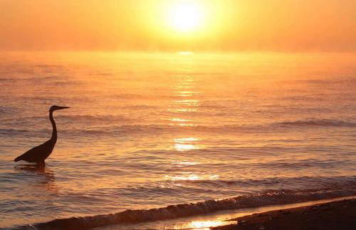 Charming 1923 Cottage at Erehwon Retreat - Foto 27