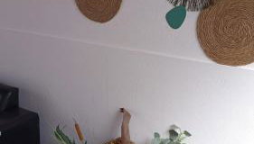 Quintinha do Sal - Casa das Flores - Foto 5