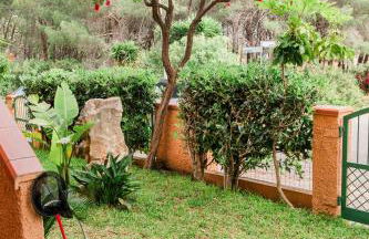 Stella Maris Holidays - Foto 51