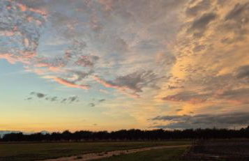 The Cosy Hide - A romantic rural retreat for 2 - Foto 49