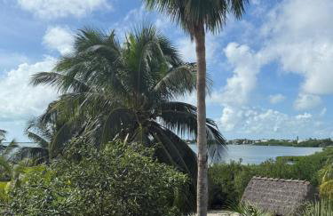 Oceanview's and heated pool in Cudjoe Key, FL - Foto 25