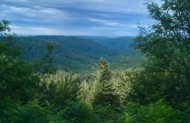 Blackforest Apartment - Foto 35