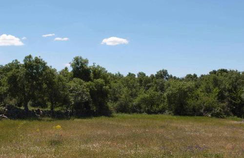 Agroturismo El Mirador de la Cigüeña - Foto 47