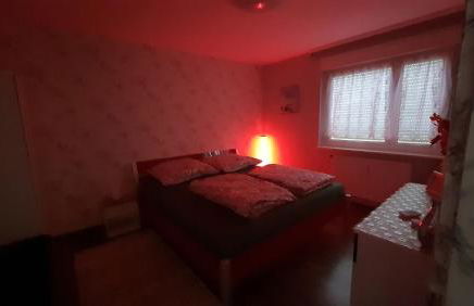 Two-Bedroom Apartment near Triberg Waterfall - Foto 10