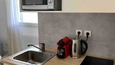 Studio Le Pensier - Monplaisir - Photo 4