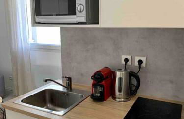 Studio Le Pensier - Monplaisir - Photo 4