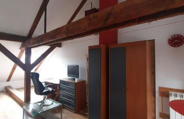 Loft przy Starym Mieście - Foto 6