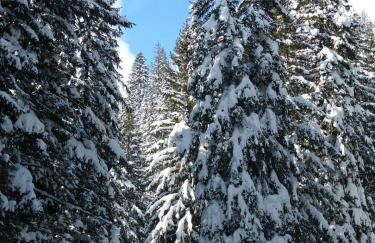 Tamarack Ski Resort Townhome - Elegant couple's retreat - Path to chairlift - Golf - Foto 12