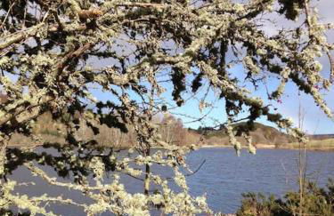 Bright, contemporary house & large private garden - Foto 37