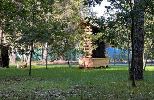 Ackermannia - Foto 68