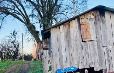 Cabana nas Nuvens - Foto 33