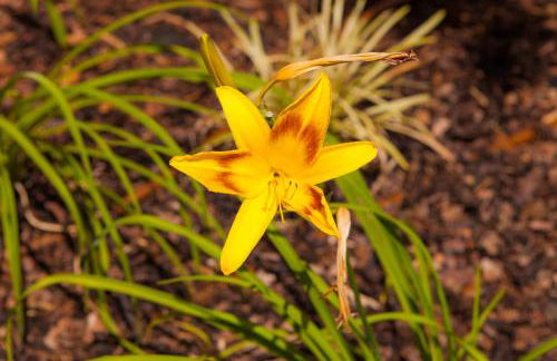 Agriturismo la Chiocciola - Foto 30